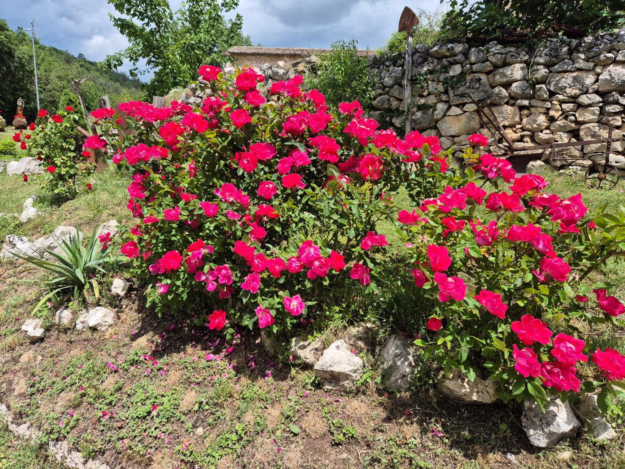 Dimora Dei Baldi - Rooms & Relax Fagnano Alto Dış mekan fotoğraf